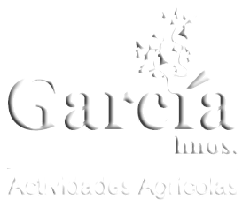 Logotipo con las letras blancas